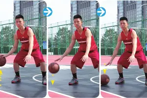 篮球基本功训练 拍球